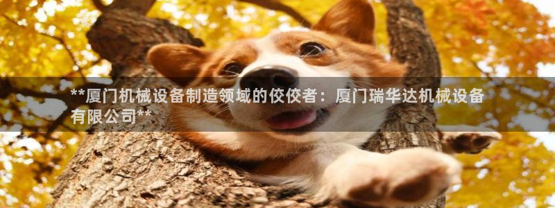 杏盛开户地址：**厦门机械设备制造领域的佼佼者：厦门瑞华达机械设备
有限公司**