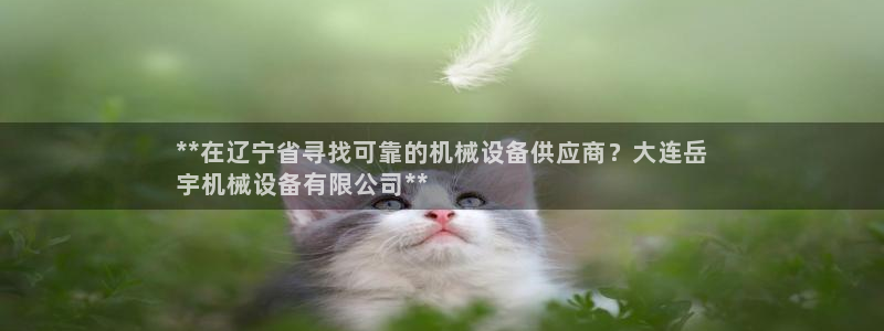 杏盛注册登录：**在辽宁省寻找可靠的机械设备供应商？大连岳
宇机械设备有限公司*