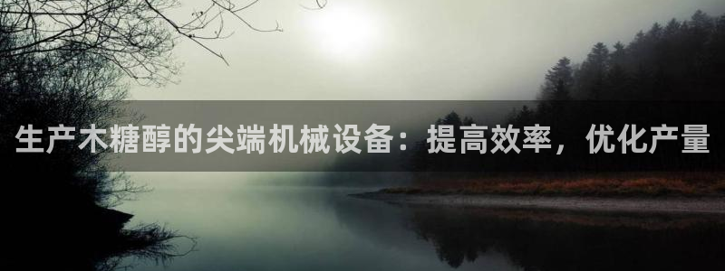 杏盛平台开户：生产木糖醇的尖端机械设备：提高效率，优化产量