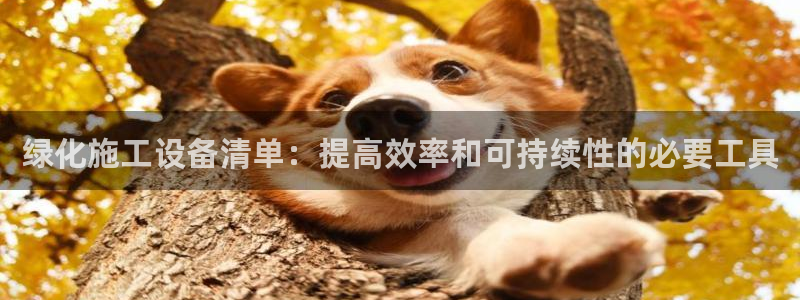 杏盛平台注册登录：绿化施工设备清单：提高效率和可持续性的必要工具