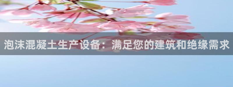杏盛平台主管：泡沫混凝土生产设备：满足您的建筑和绝缘需求