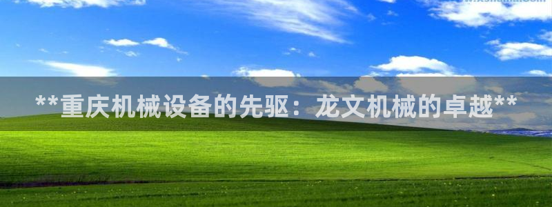 杏盛平台开户：**重庆机械设备的先驱：龙文机械的卓越**