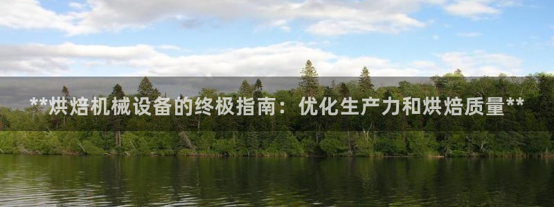 杏盛平台开户：**烘焙机械设备的终极指南：优化生产力和烘焙质量**