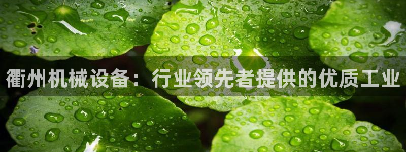杏盛注册登录：衢州机械设备：行业领先者提供的优质工业