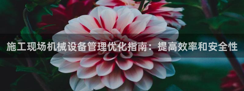 杏盛平台代理：施工现场机械设备管理优化指南：提高效率和安全性
