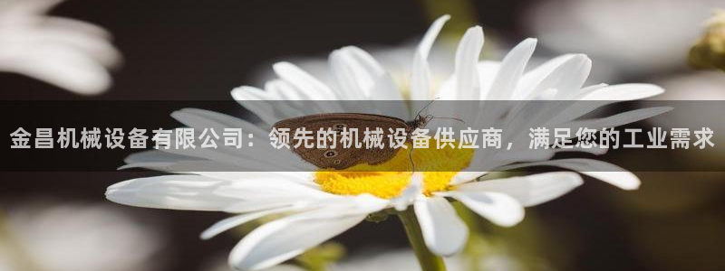 杏盛开户地址：金昌机械设备有限公司：领先的机械设备供应商，满足您的工业需求