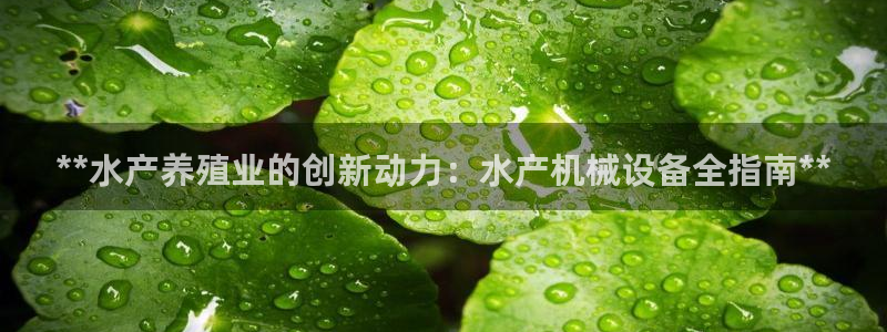 杏盛注册登录：**水产养殖业的创新动力：水产机械设备全指南**