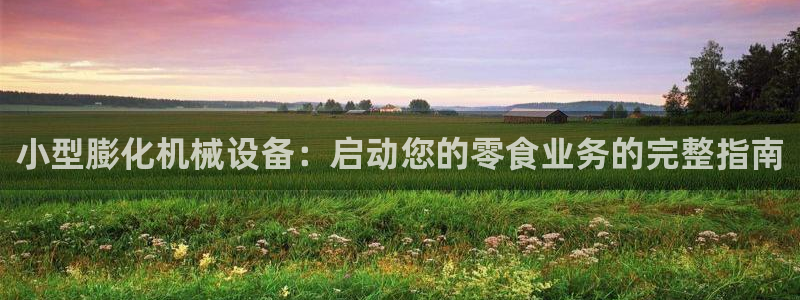 杏盛平台登录：小型膨化机械设备：启动您的零食业务的完整指南