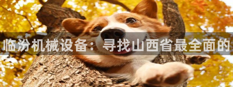 杏盛平台官网注册：临汾机械设备：寻找山西省最全面的
