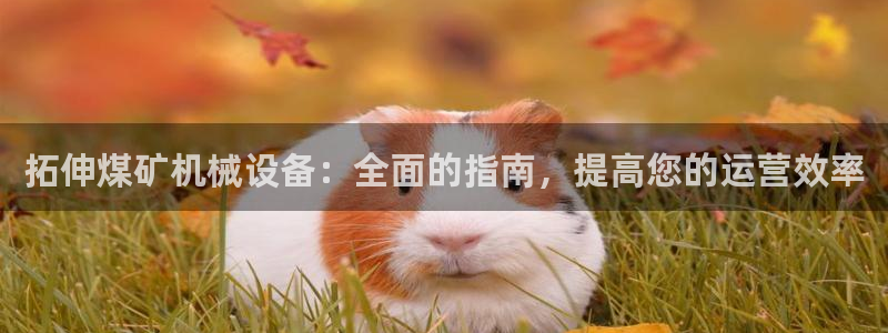 杏盛平台上级：拓伸煤矿机械设备：全面的指南，提高您的运营效率