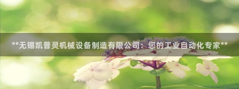 杏盛乐岳35994誓：**无锡凯普灵机械设备制造有限公司：您的工业自动化专家**