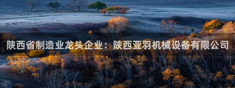 杏盛平台代理：陕西省制造业龙头企业：陕西亚羽机械设备有限公司