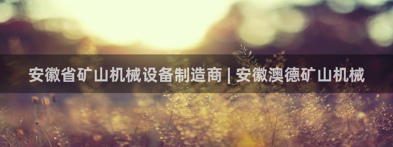 杏盛注册登录：安徽省矿山机械设备制造商 | 安徽澳德矿山机械