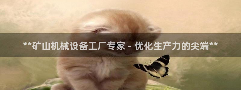 杏盛平台代理注册：**矿山机械设备工厂专家 - 优化生产力的尖端**