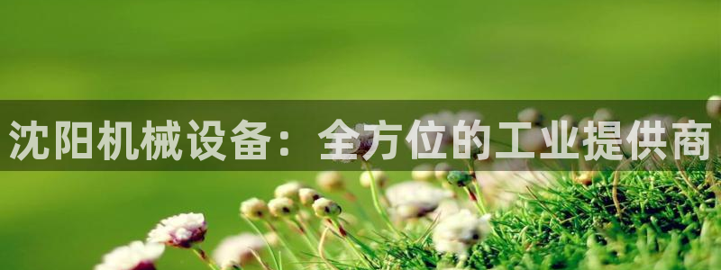 杏盛娱乐代理：沈阳机械设备：全方位的工业提供商