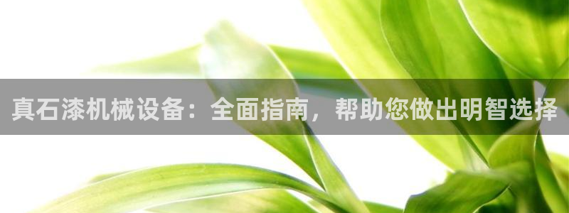 杏盛主管：真石漆机械设备：全面指南，帮助您做出明智选择