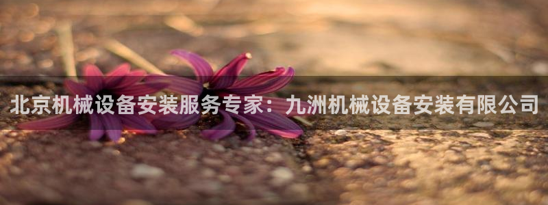 杏盛注册登录：北京机械设备安装服务专家：九洲机械设备安装有限公司