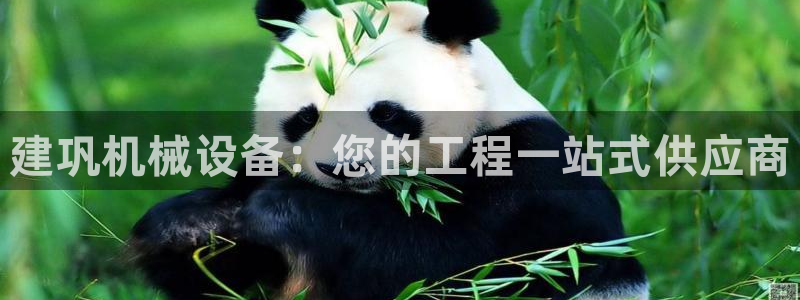 杏盛平台官网注册登录：建巩机械设备：您的工程一站式供应商