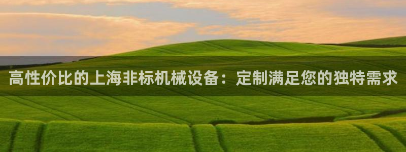 杏盛乐岳35994誓：高性价比的上海非标机械设备：定制满足您的独特需求
