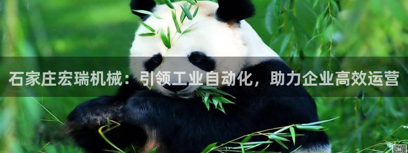 杏盛主管：石家庄宏瑞机械：引领工业自动化，助力企业高效运营