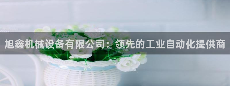 杏盛乐岳35994誓：旭鑫机械设备有限公司：领先的工业自动化提供商