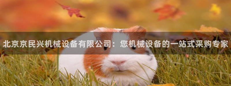 杏盛主管：北京京民兴机械设备有限公司：您机械设备的一站式采购专家