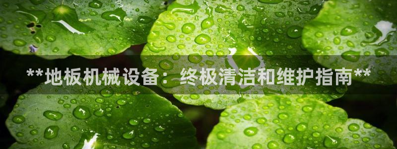 杏盛平台开户 贴吧：**地板机械设备：终极清洁和维护指南**