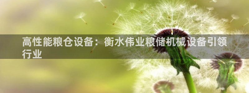 杏盛平台代理：高性能粮仓设备：衡水伟业粮储机械设备引领
行业