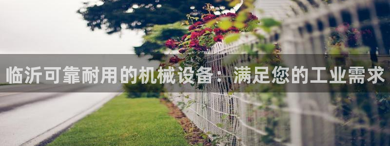 杏盛平台登录地址：临沂可靠耐用的机械设备：满足您的工业需求