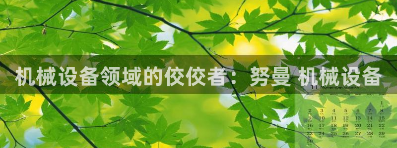 杏盛平台登录：机械设备领域的佼佼者：努曼 机械设备