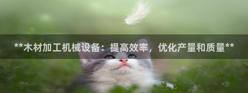 杏盛官网登录：**木材加工机械设备：提高效率，优化产量和质量**