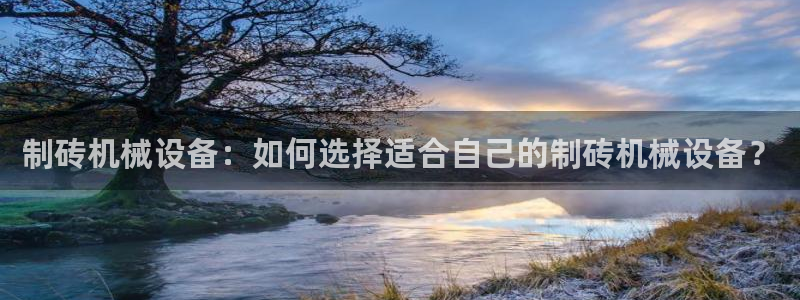 杏盛平台上级