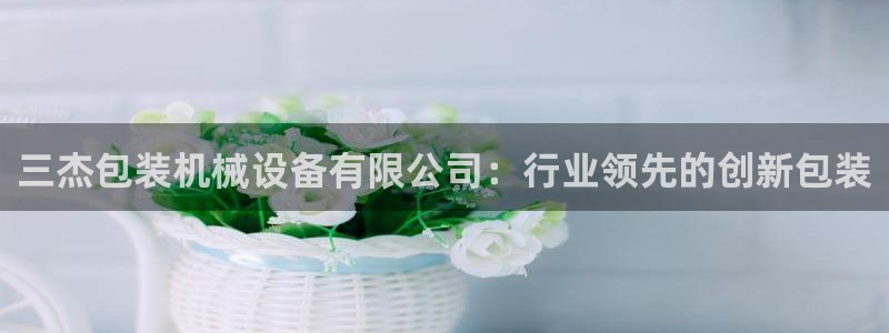 杏盛平台主管
