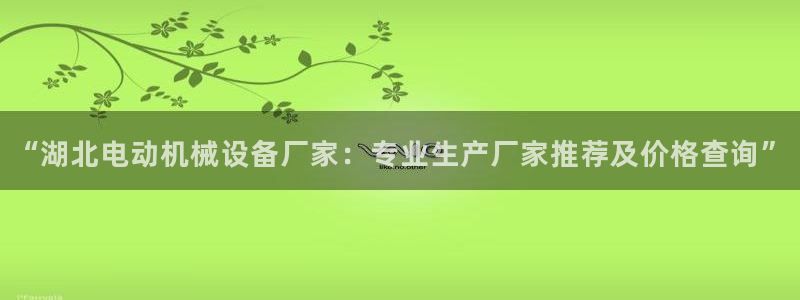 杏盛代理