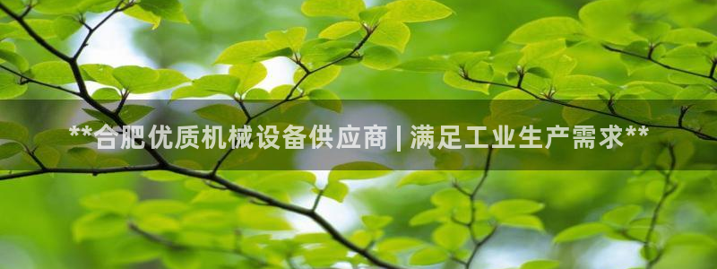 杏盛平台登陆：**合肥优质机械设备供应商 | 满足工业生产需求**