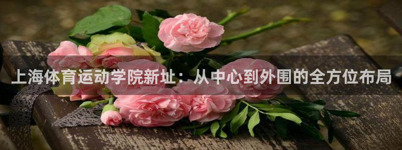 谈球吧体育官网：上海体育运动学院新址：从中心到外围的全方位布局