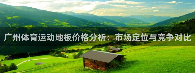 谈球吧体育：广州体育运动地板价格分析：市场定位与竞争对比