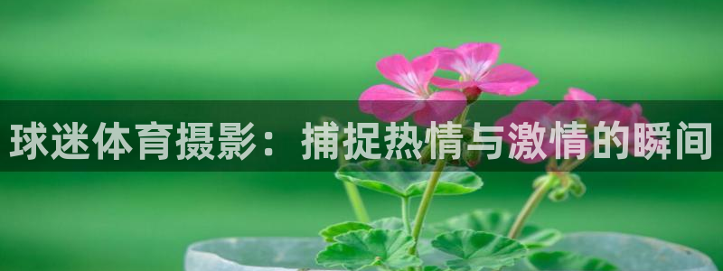谈球吧体育：球迷体育摄影：捕捉热情与激情的瞬间