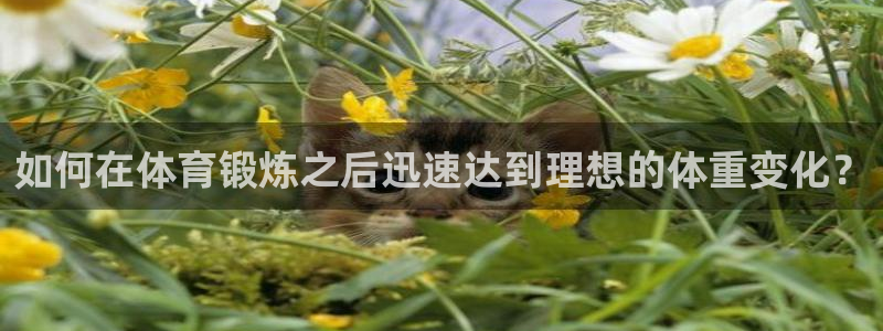 谈球吧：如何在体育锻炼之后迅速达到理想的体重变化？