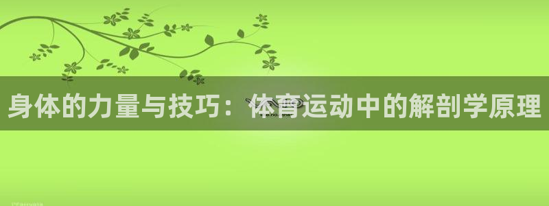 谈球吧：身体的力量与技巧：体育运动中的解剖学原理